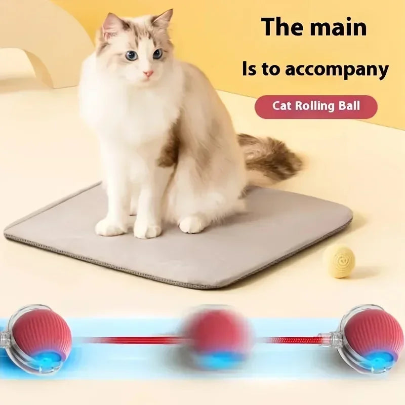 🐾 Smart Interactive Toy Ball for Cats & Dogs