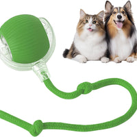 Yopoll Playful Pet Ball