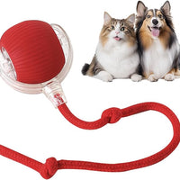 Yopoll Playful Pet Ball