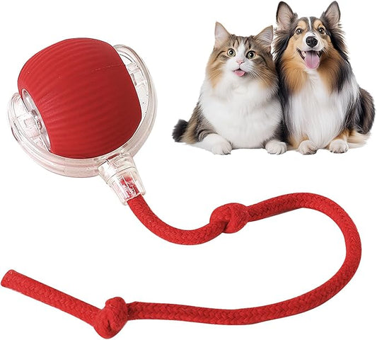 Yopoll Playful Pet Ball