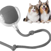 Yopoll Playful Pet Ball