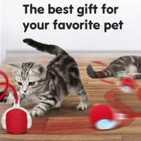 Yopoll Playful Pet Ball