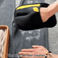 Pet Fur Magic Gloves