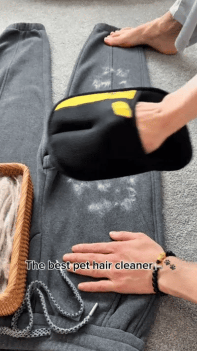 Pet Fur Magic Gloves