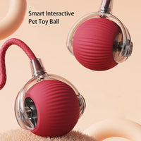 Yopoll Playful Pet Ball