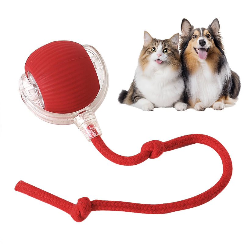 Yopoll Playful Pet Ball